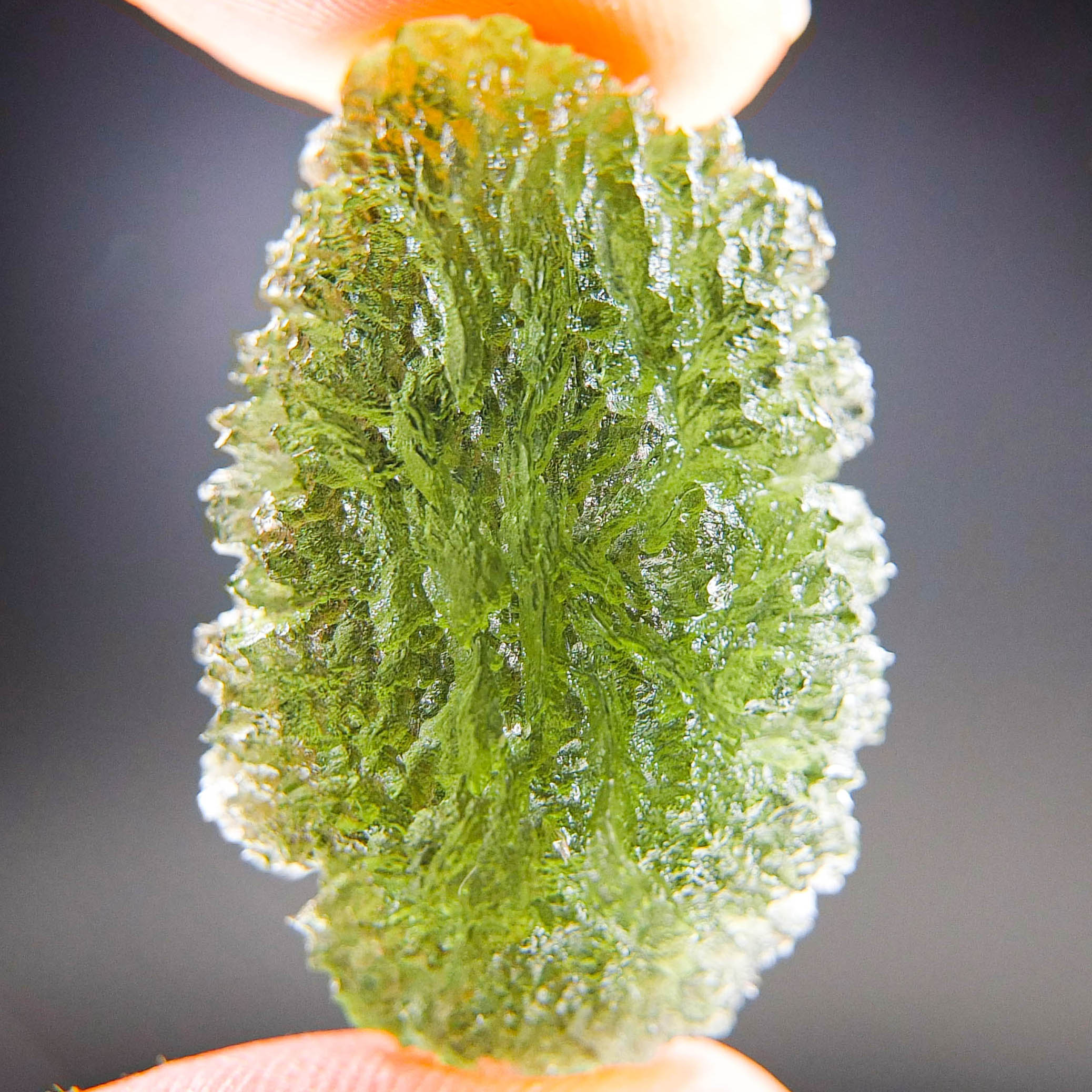 Moldavite - Drop - natural lower fragment (belly) shape - quality A+