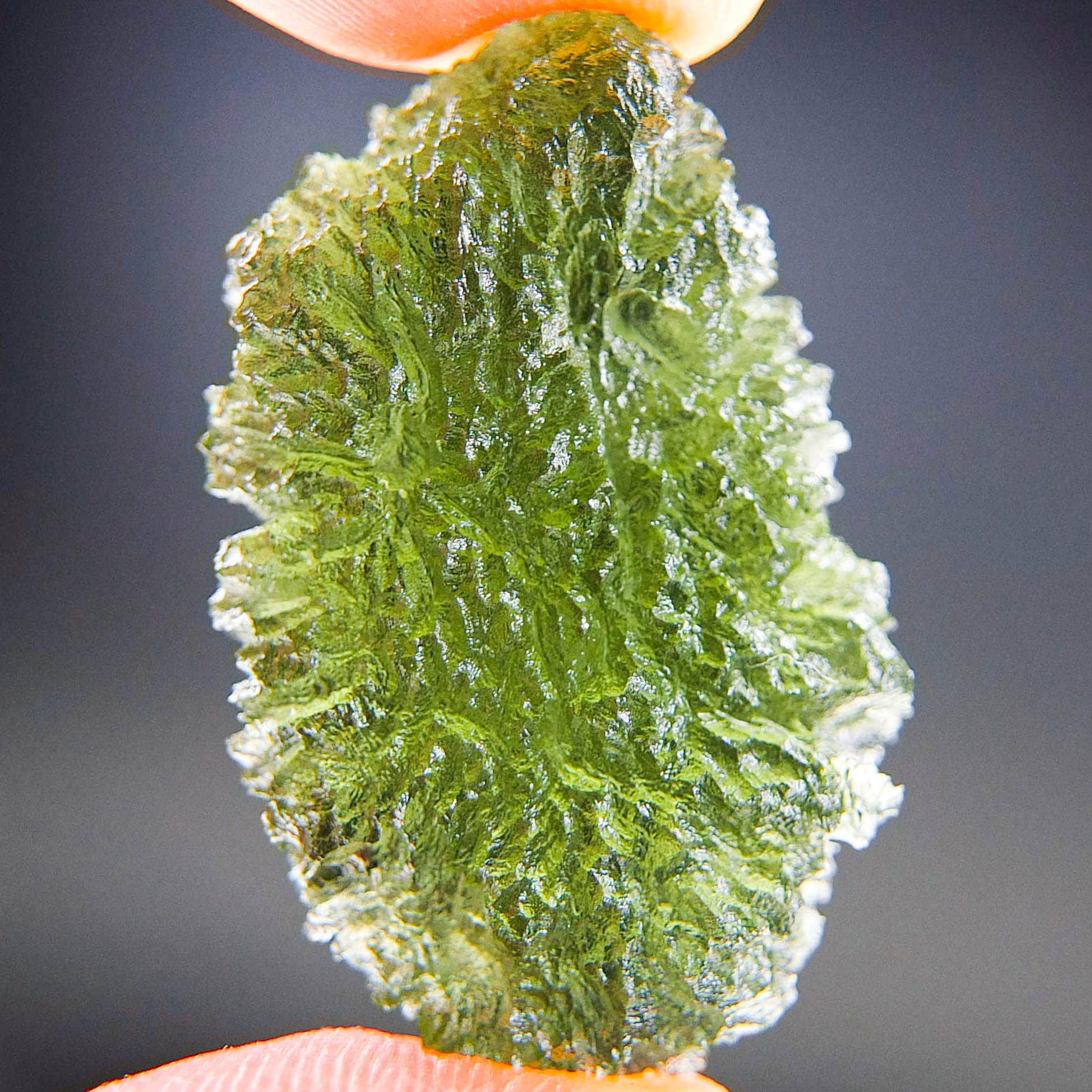 Moldavite - Drop - natural lower fragment (belly) shape - quality A+