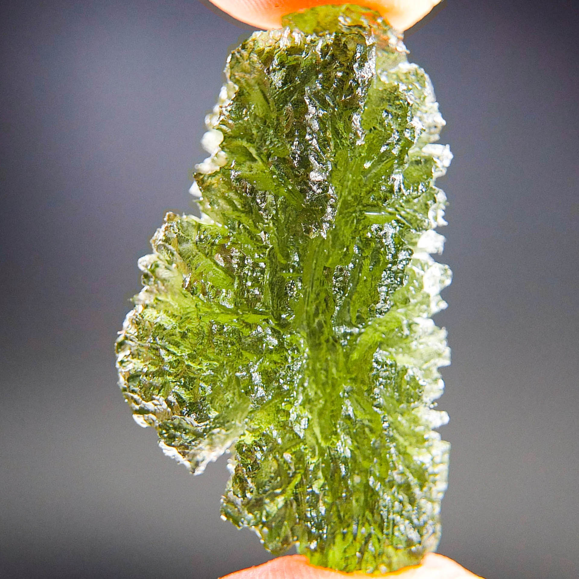 Excellent Moldavite - Drop - natural upper fragment shape - Shiny