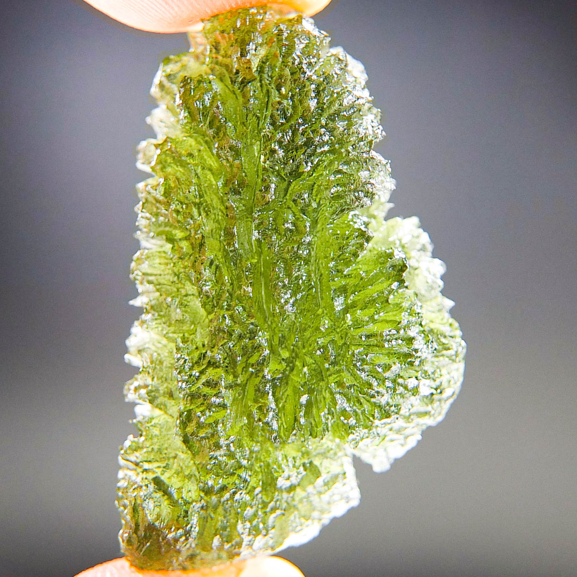 Excellent Moldavite - Drop - natural upper fragment shape - Shiny