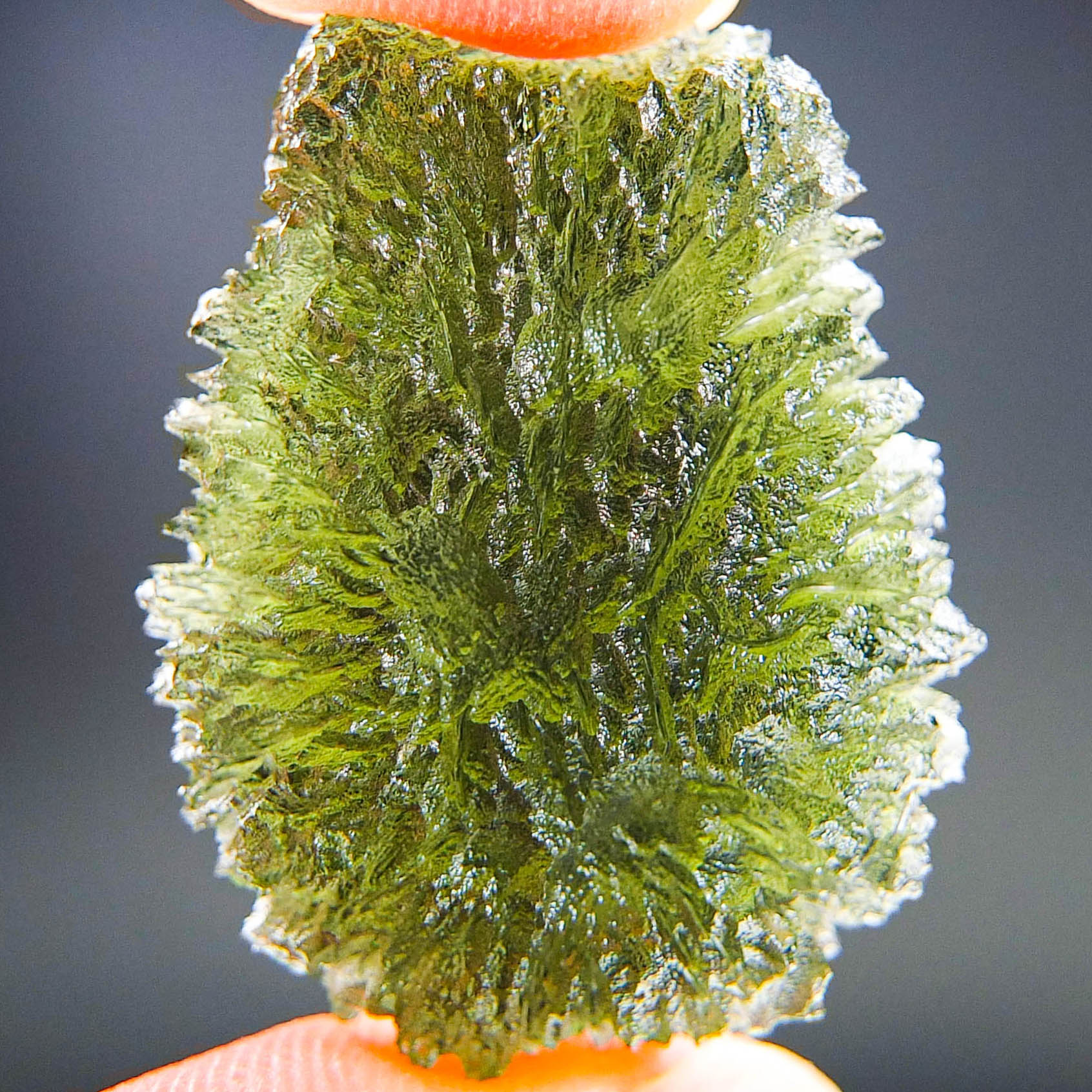Moldavite - Drop - natural lower fragment (belly) shape - quality A+/++