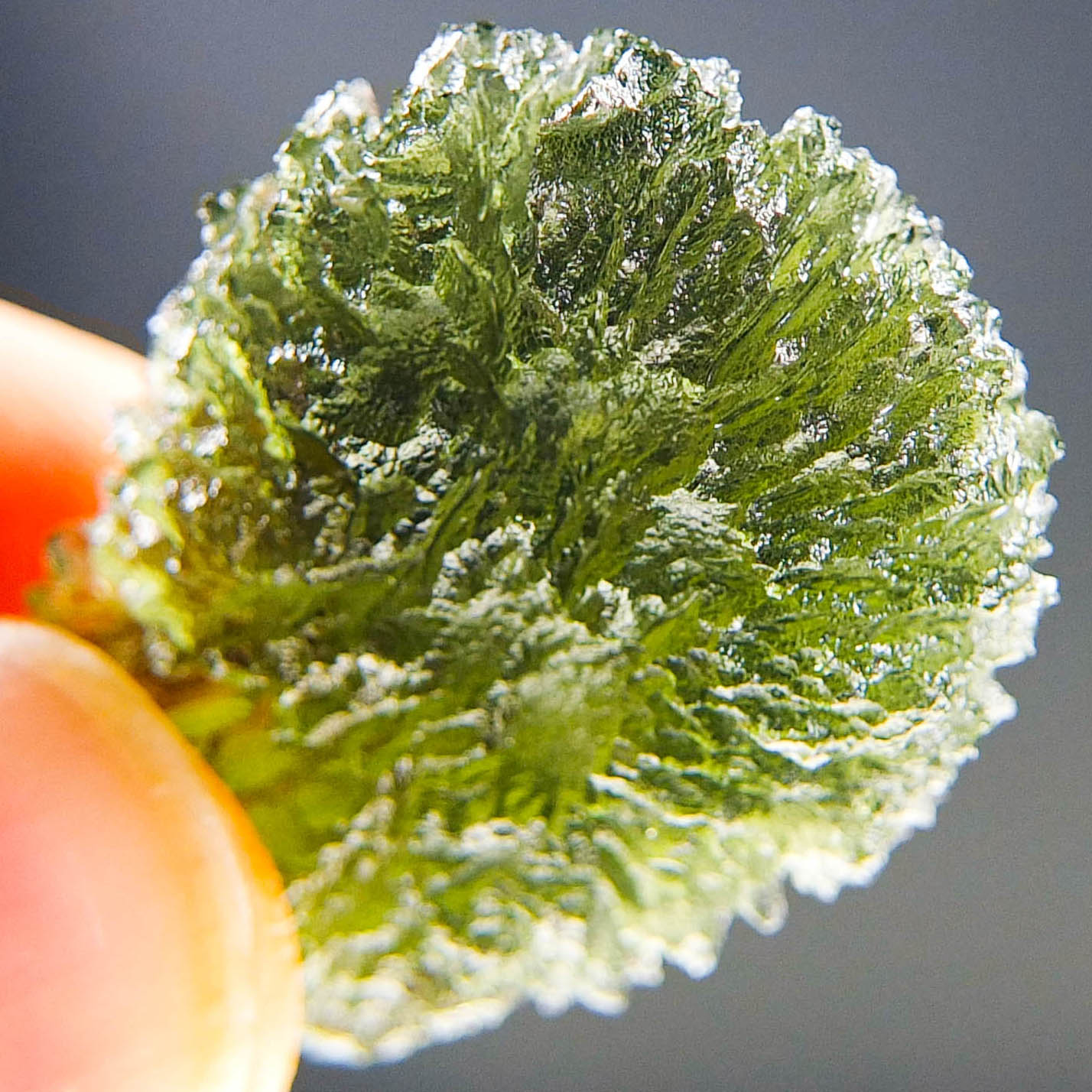 Moldavite - Drop - natural lower fragment (belly) shape - quality A+/++