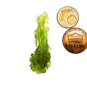 Excellent Hedgehog from Besednice