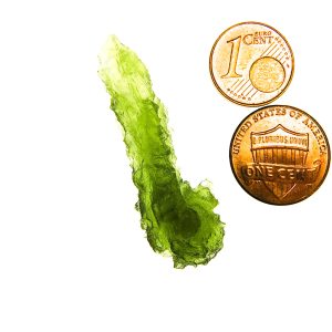 Excellent Hedgehog from Besednice