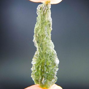 Excellent Hedgehog from Besednice