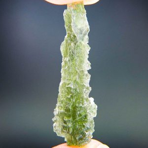 Excellent Hedgehog from Besednice