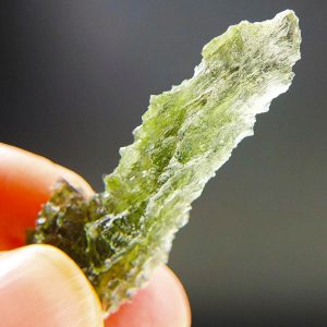 Excellent Hedgehog from Besednice