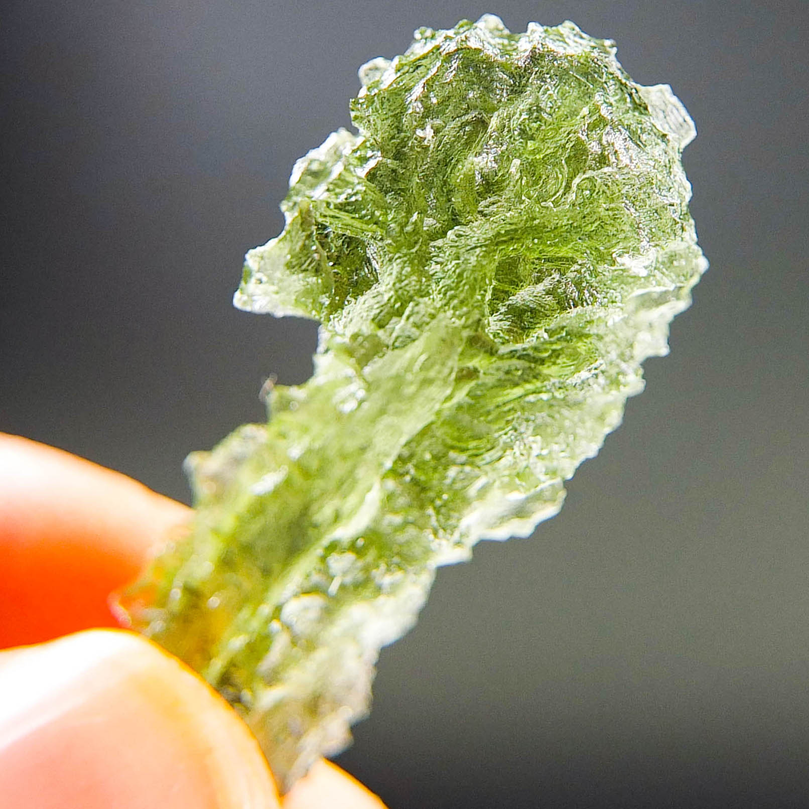 Excellent Hedgehog from Besednice