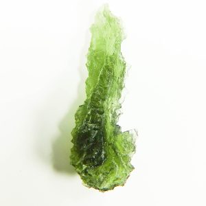 Excellent Hedgehog from Besednice