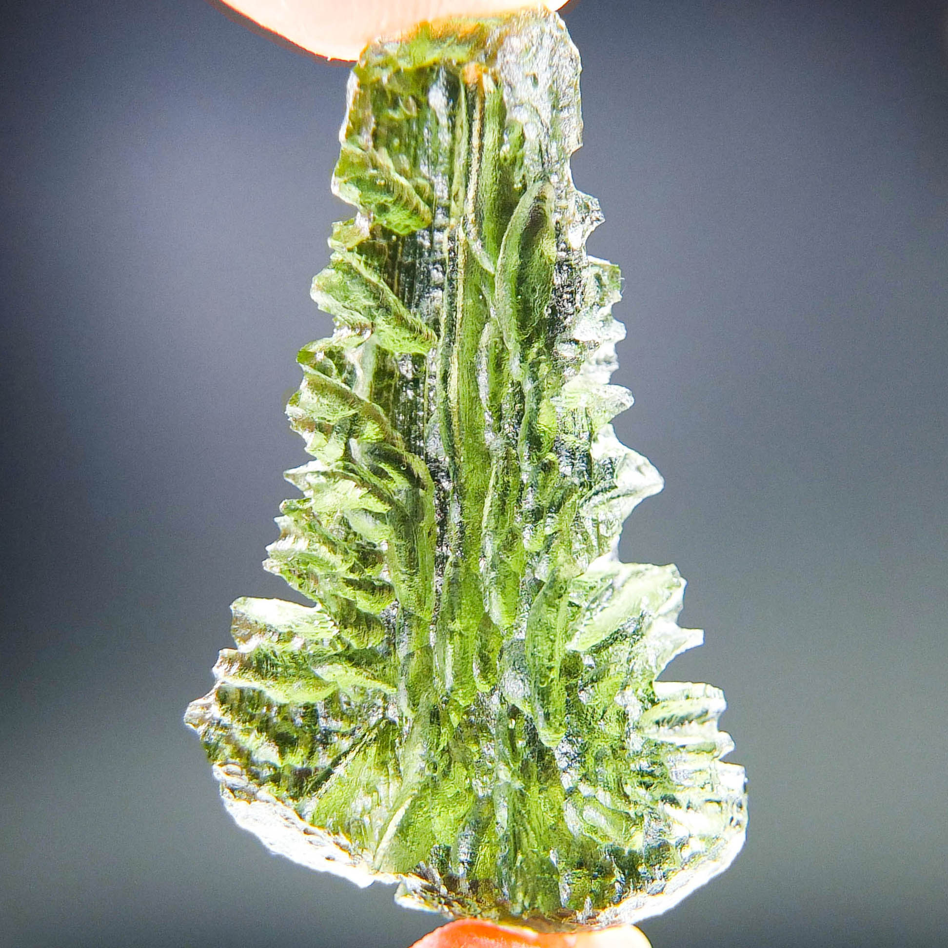 Investment Moldavite from Besednice