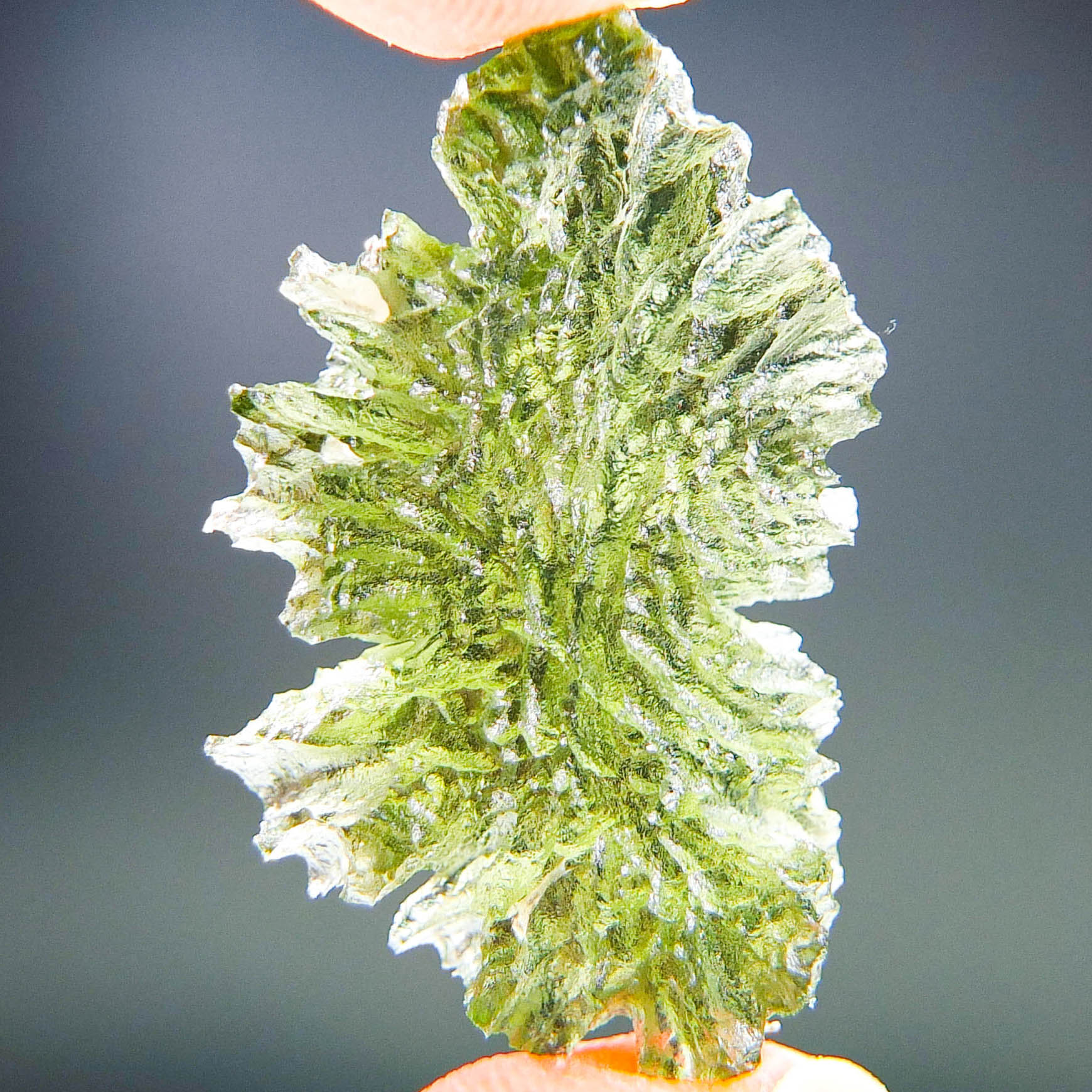 Investment Moldavite from Besednice