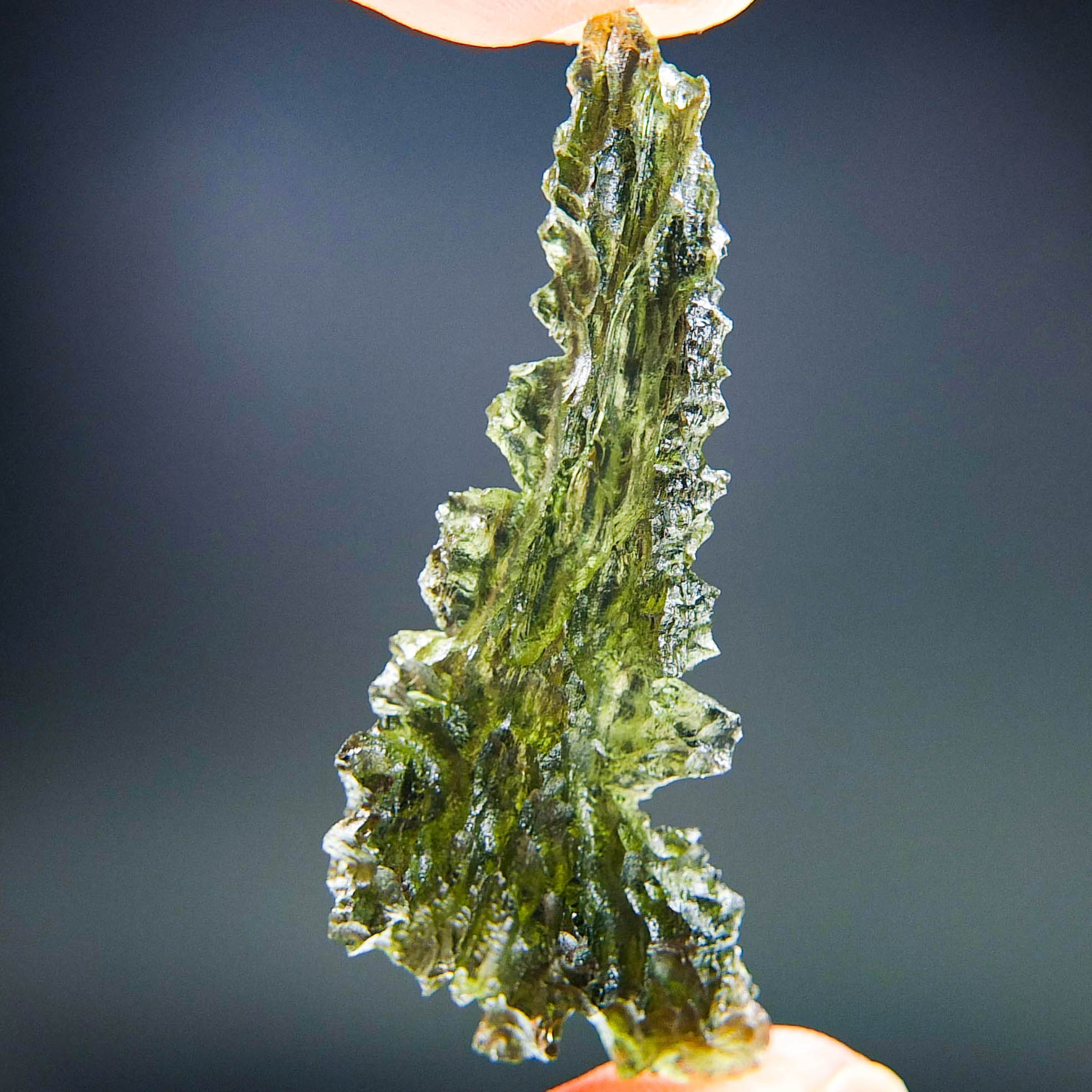 Investment Angel Chime Moldavite - Hedgehog from Besednice