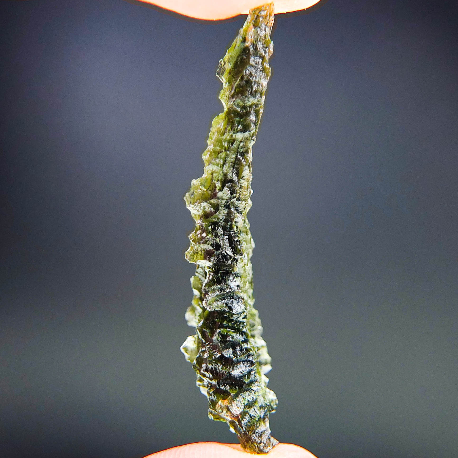 Investment Angel Chime Moldavite - Hedgehog from Besednice