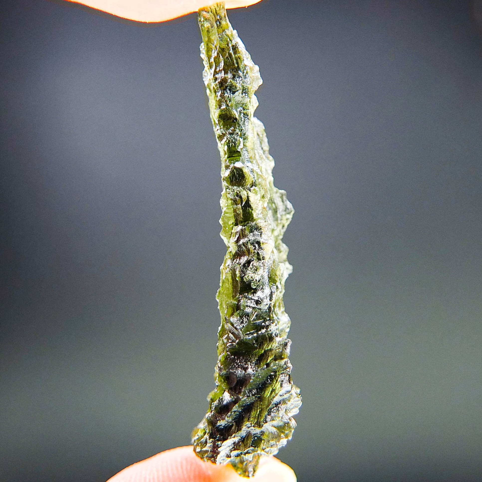 Investment Angel Chime Moldavite - Hedgehog from Besednice