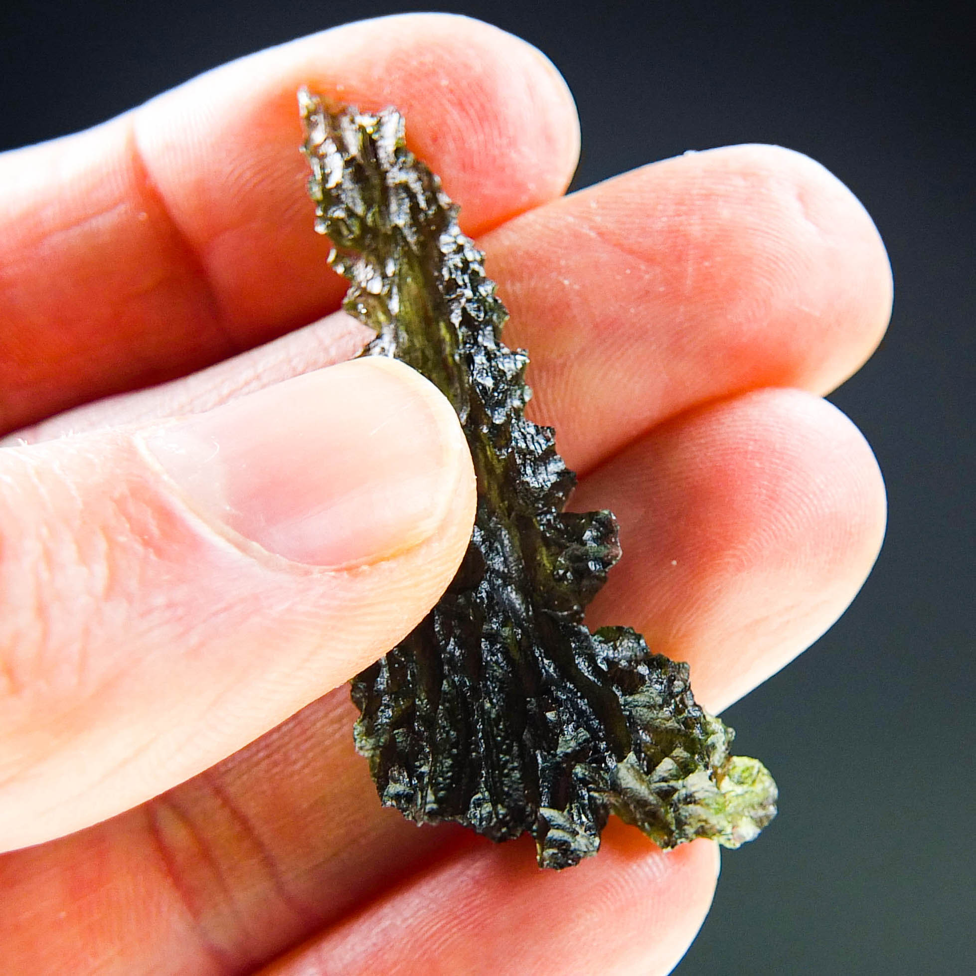 Investment Angel Chime Moldavite - Hedgehog from Besednice