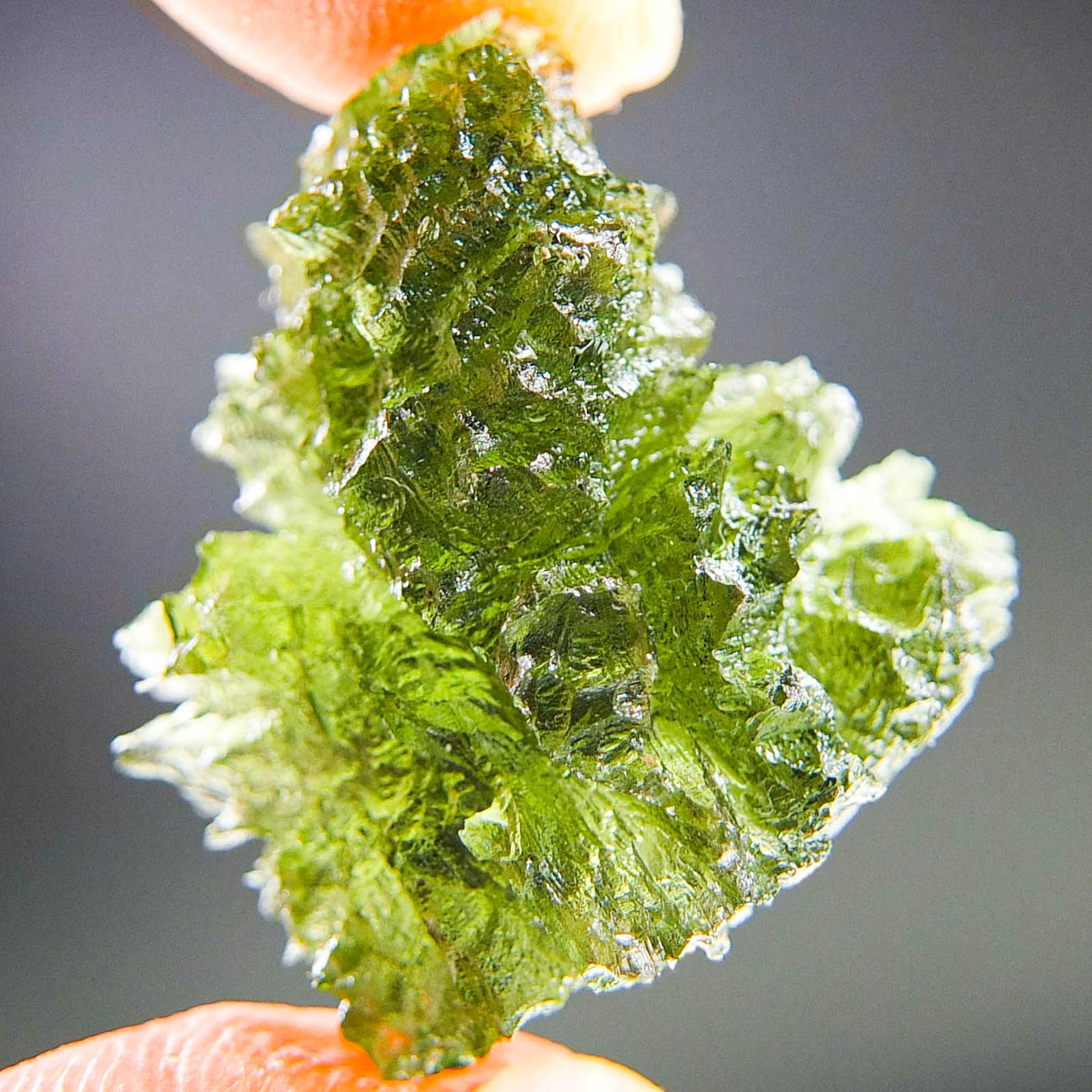 Moldavite - Hedgehog from Besednice