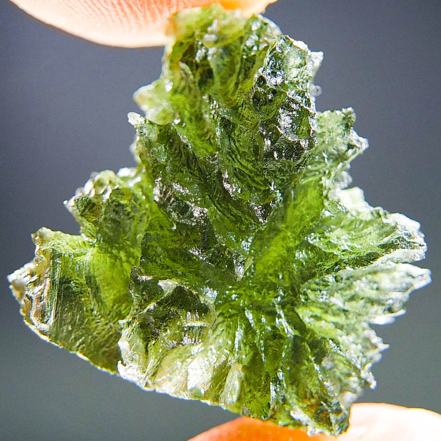 Moldavite - Hedgehog from Besednice