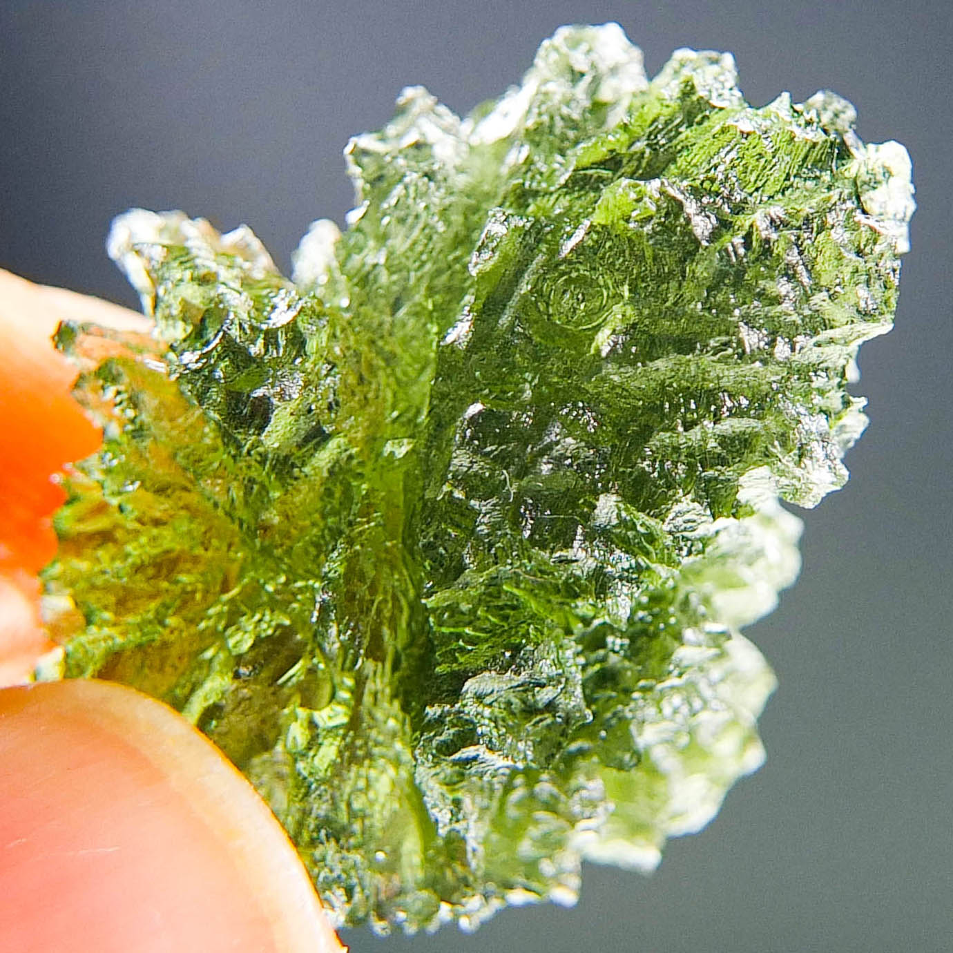 Moldavite - Hedgehog from Besednice