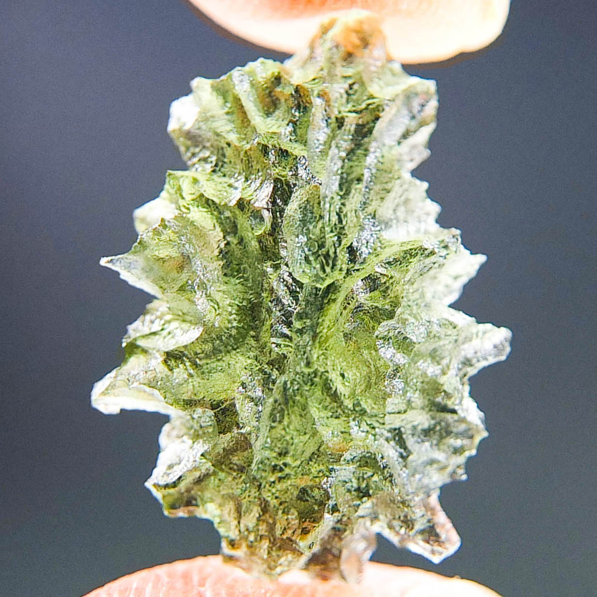 Perfect Moldavite - Hedgehog from Besednice
