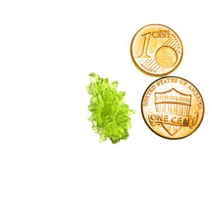 Perfect Moldavite - Hedgehog from Besednice