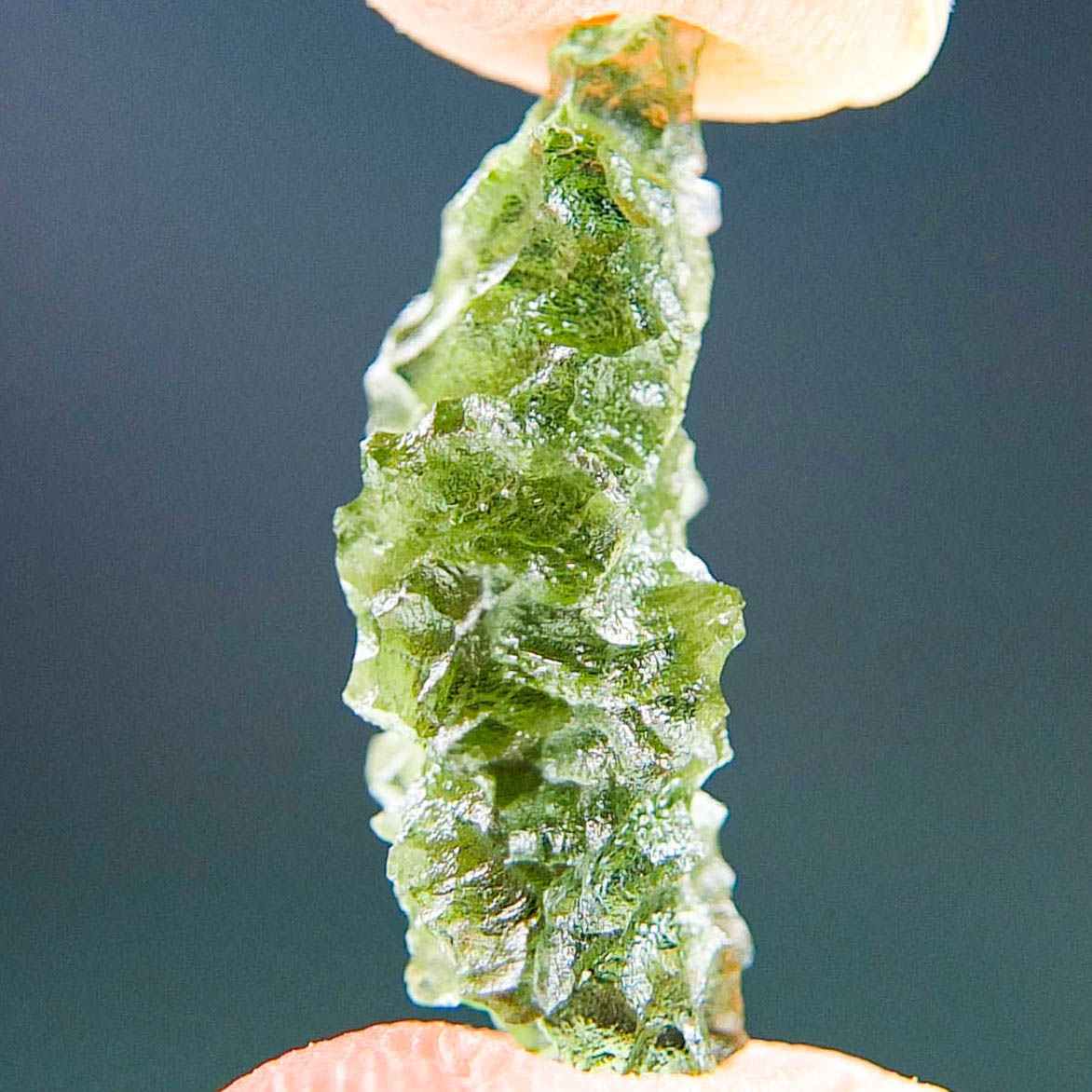 Perfect Moldavite - Hedgehog from Besednice