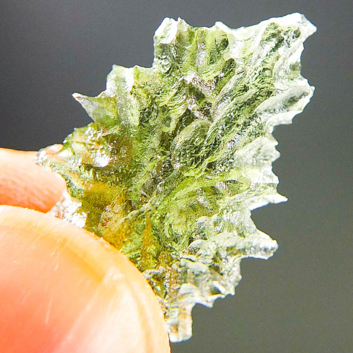 Perfect Moldavite - Hedgehog from Besednice