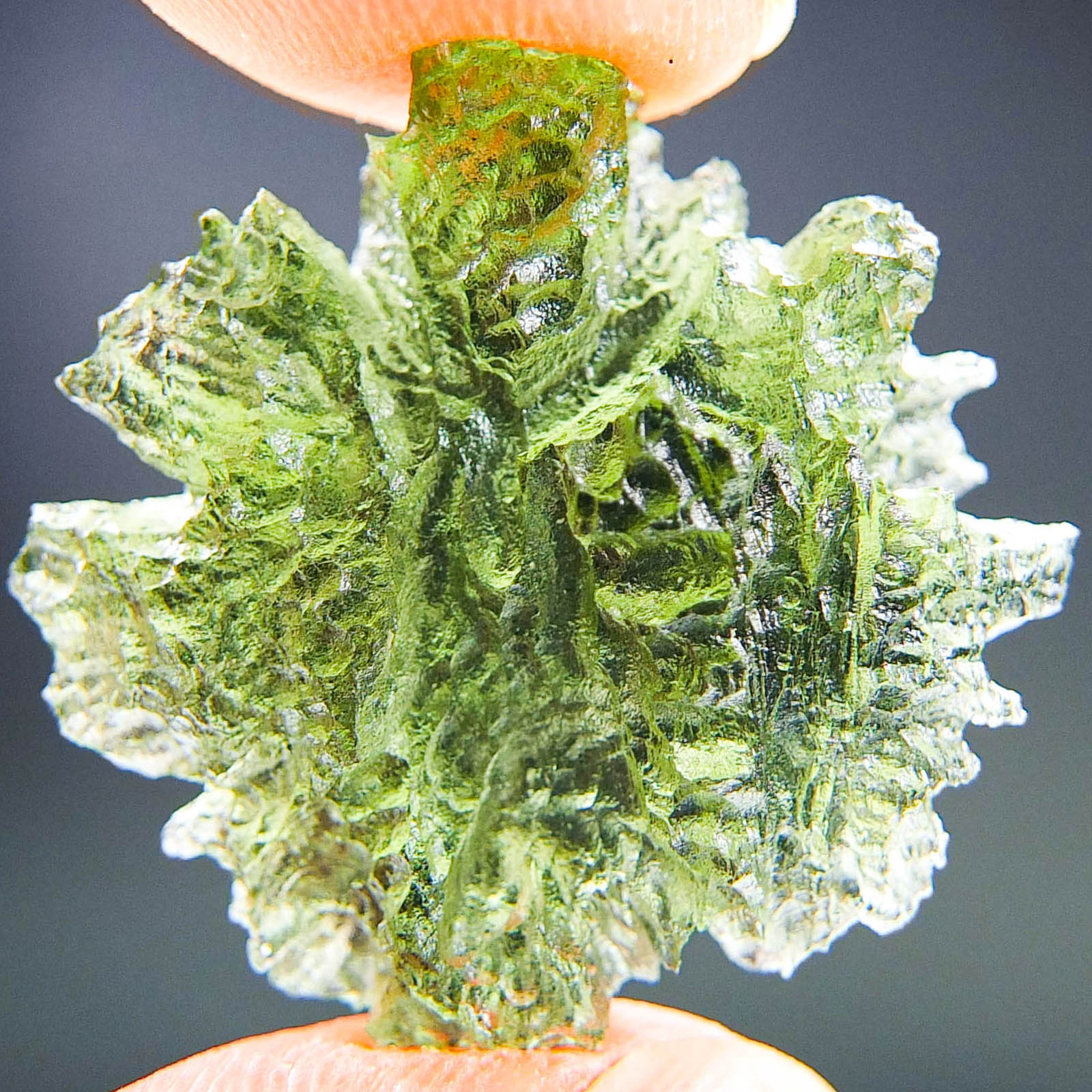 Investment Moldavite - Hedgehog from Besednice