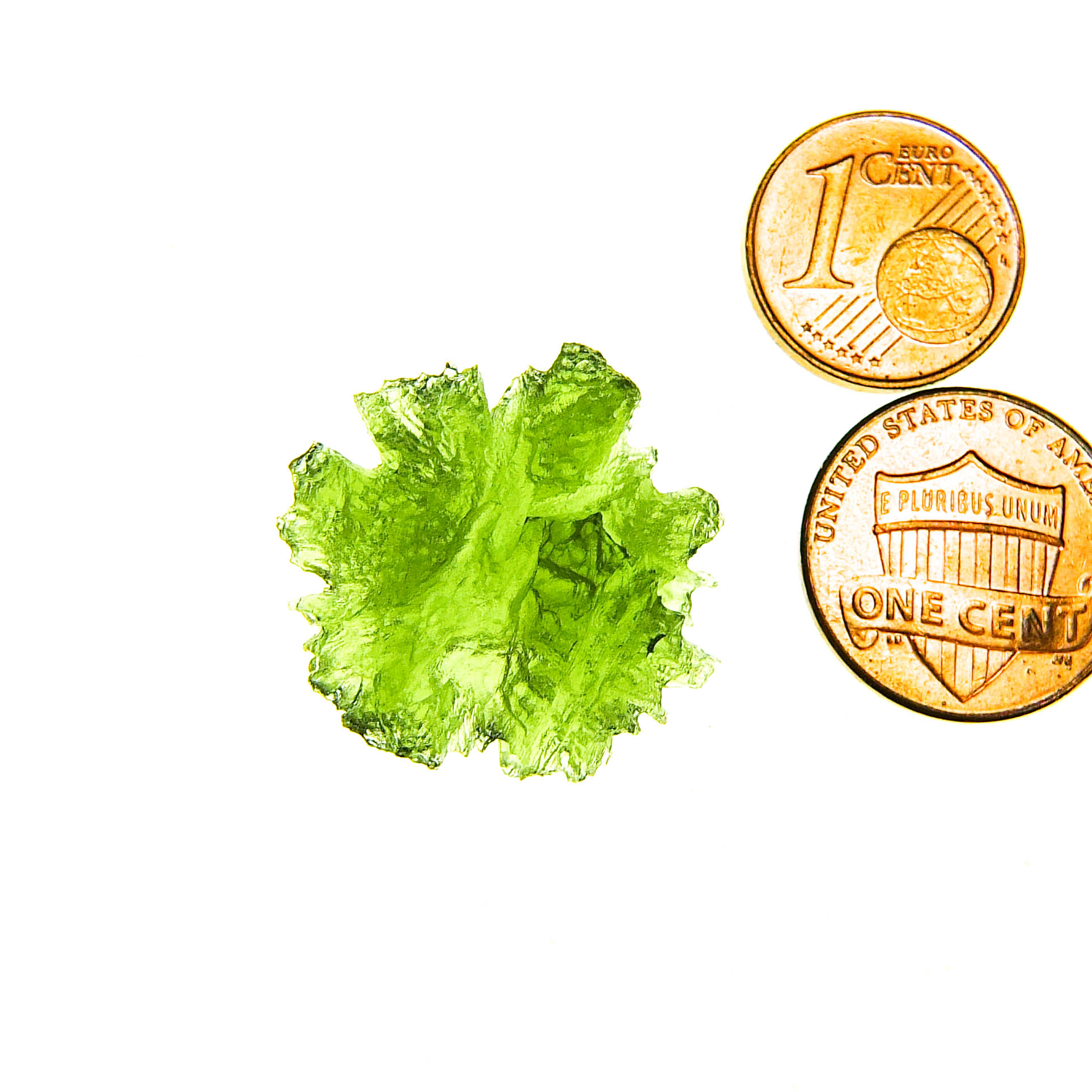 Investment Moldavite - Hedgehog from Besednice