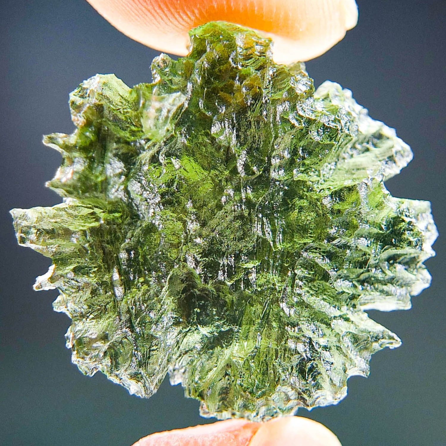 Investment Moldavite - Hedgehog from Besednice