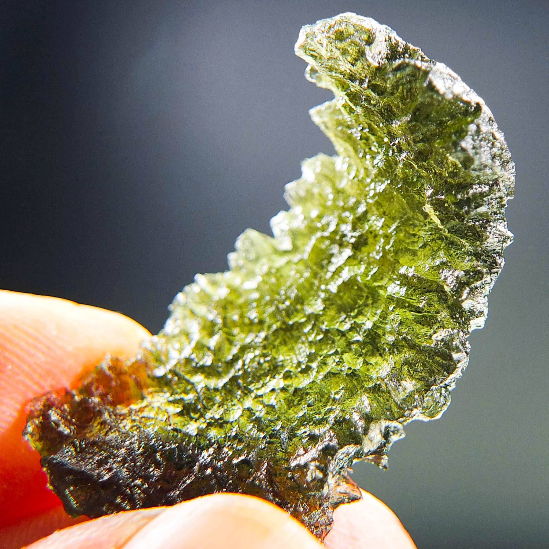 Moldavite - Hedgehog from Besednice - Uncommon shape