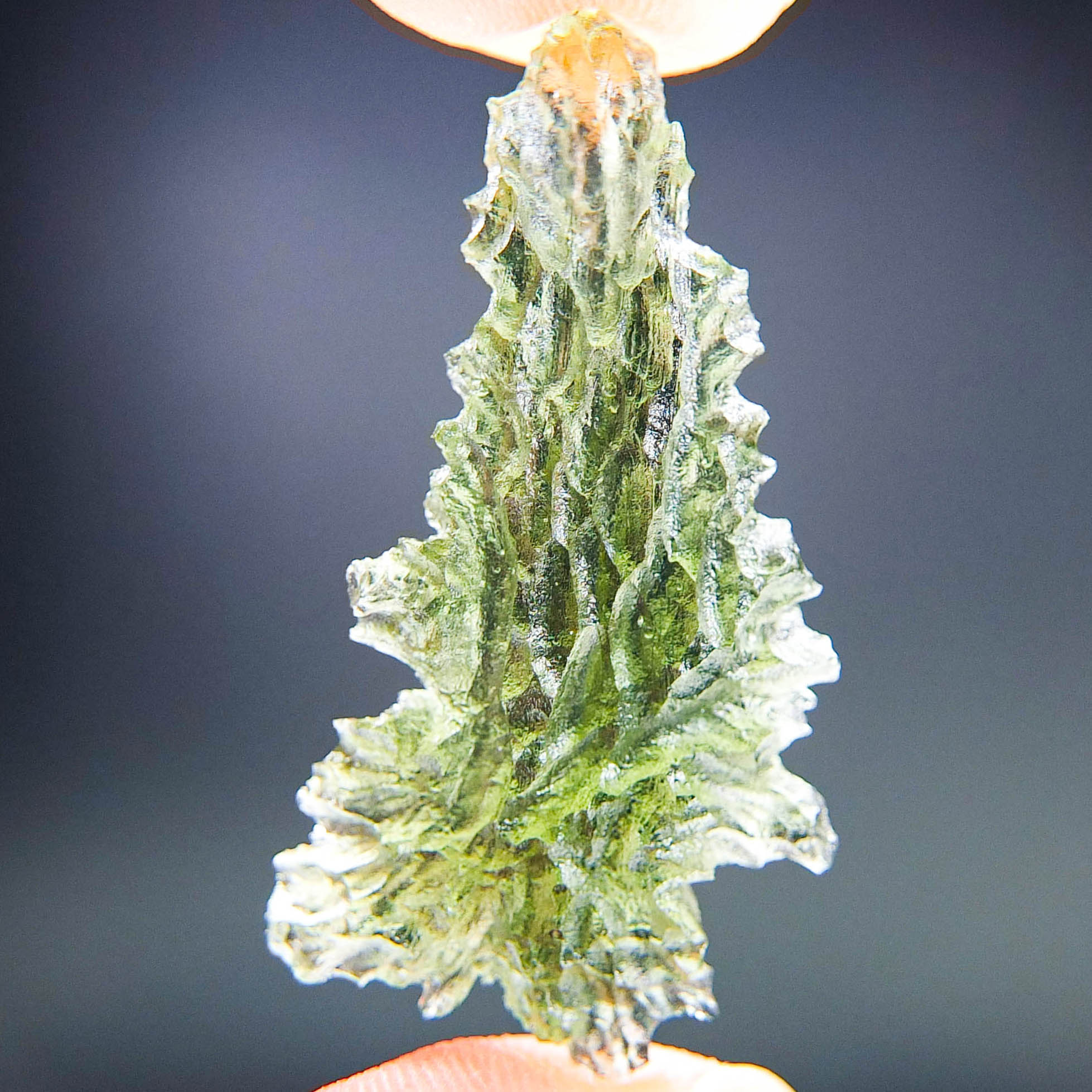 Investment Moldavite - Hedgehog from Besednice