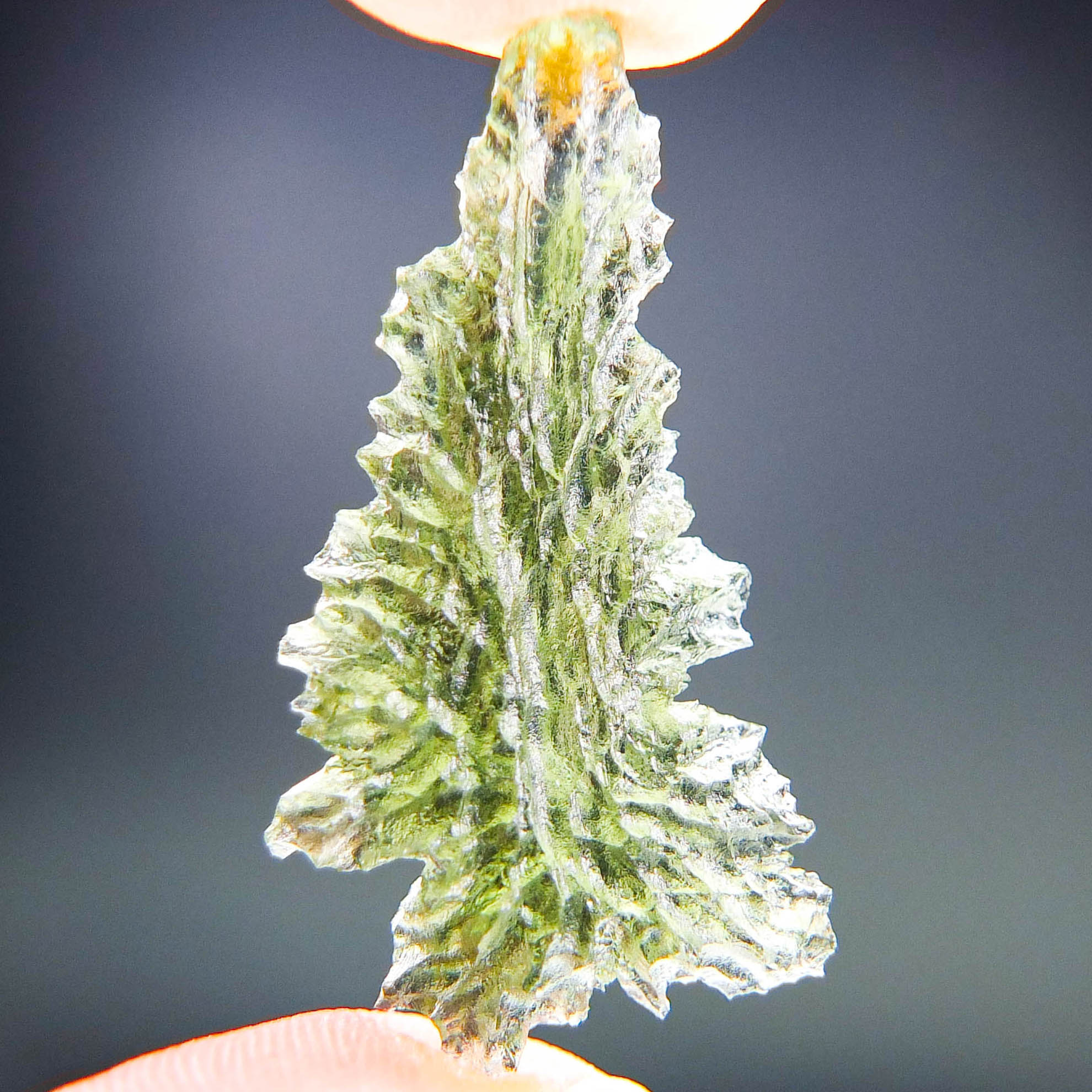 Investment Moldavite - Hedgehog from Besednice