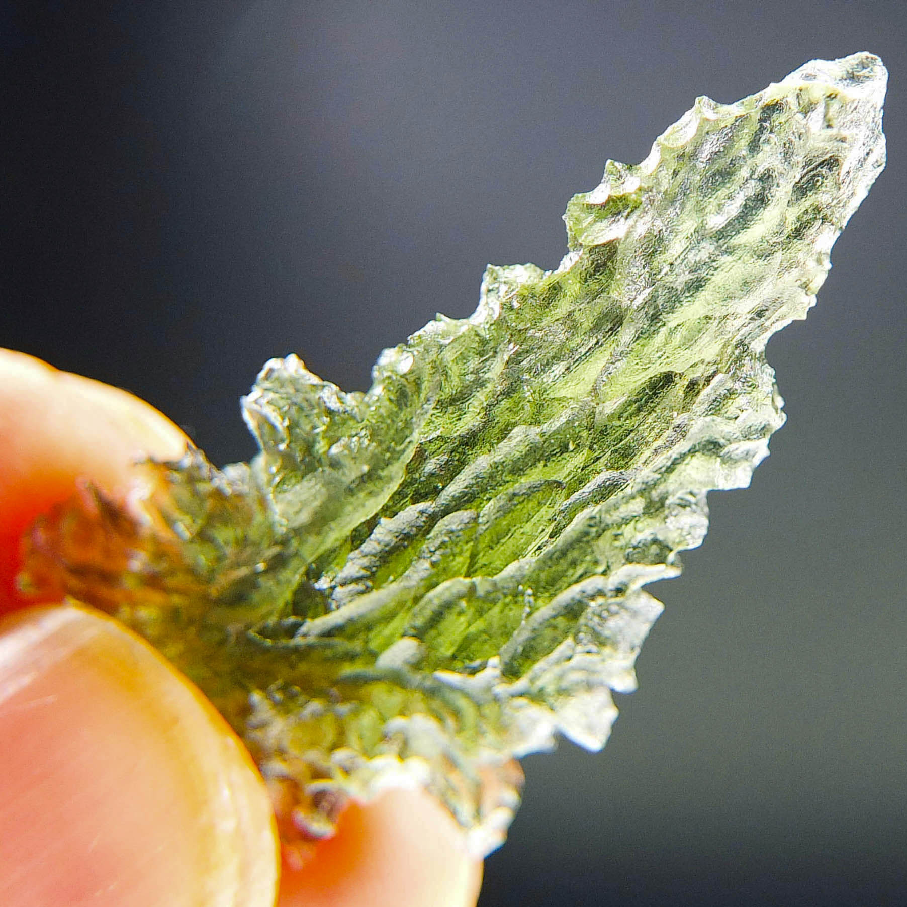 Investment Moldavite - Hedgehog from Besednice