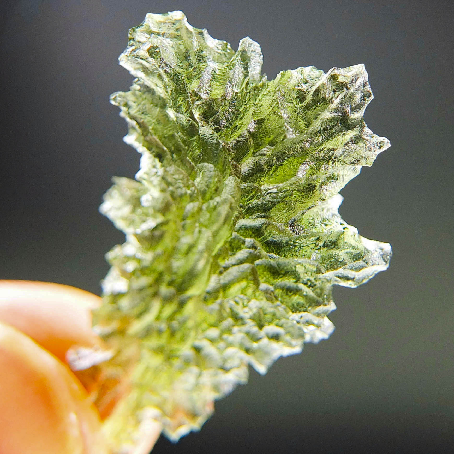 Investment Moldavite - Hedgehog from Besednice