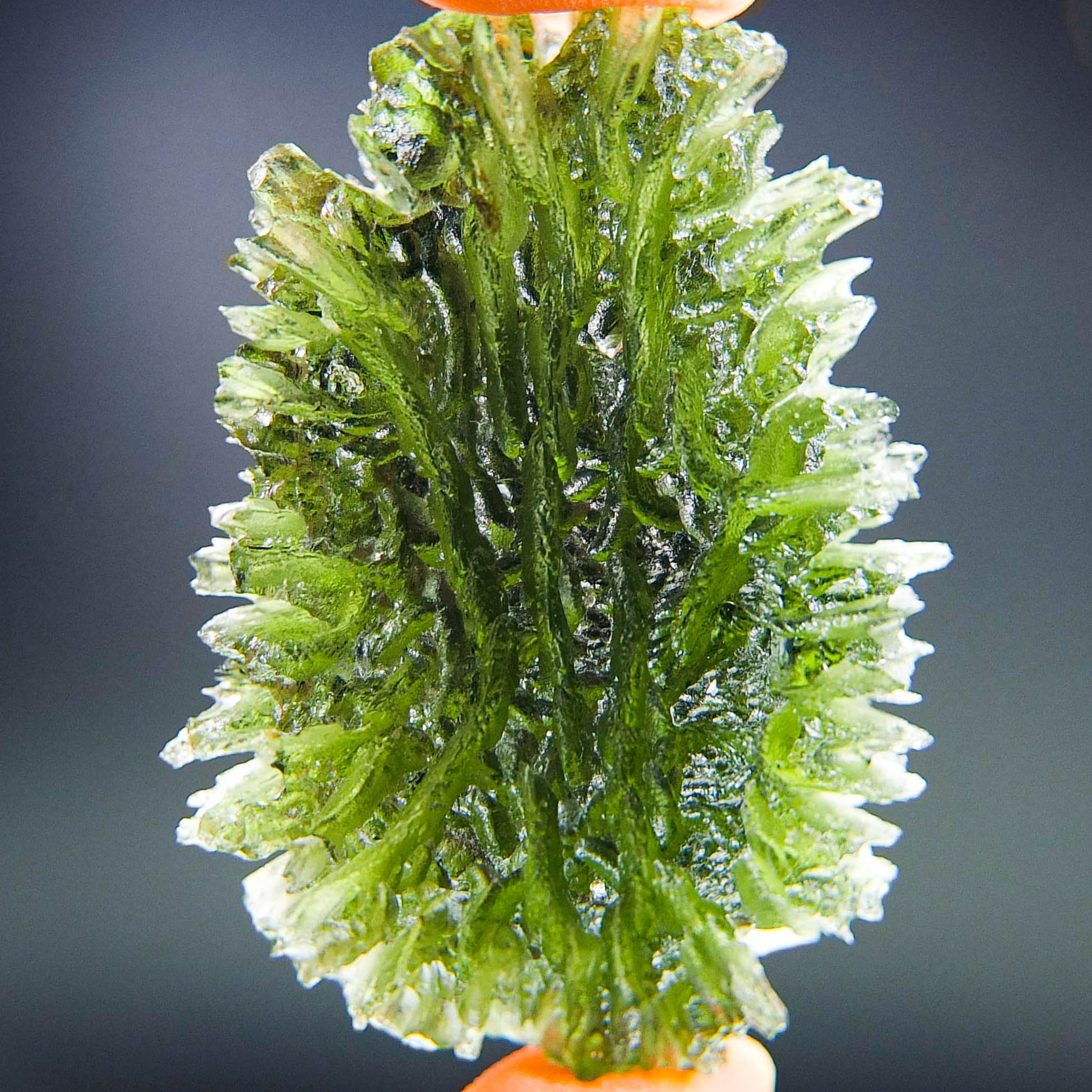 Investment Big Moldavite from Besednice - TOP