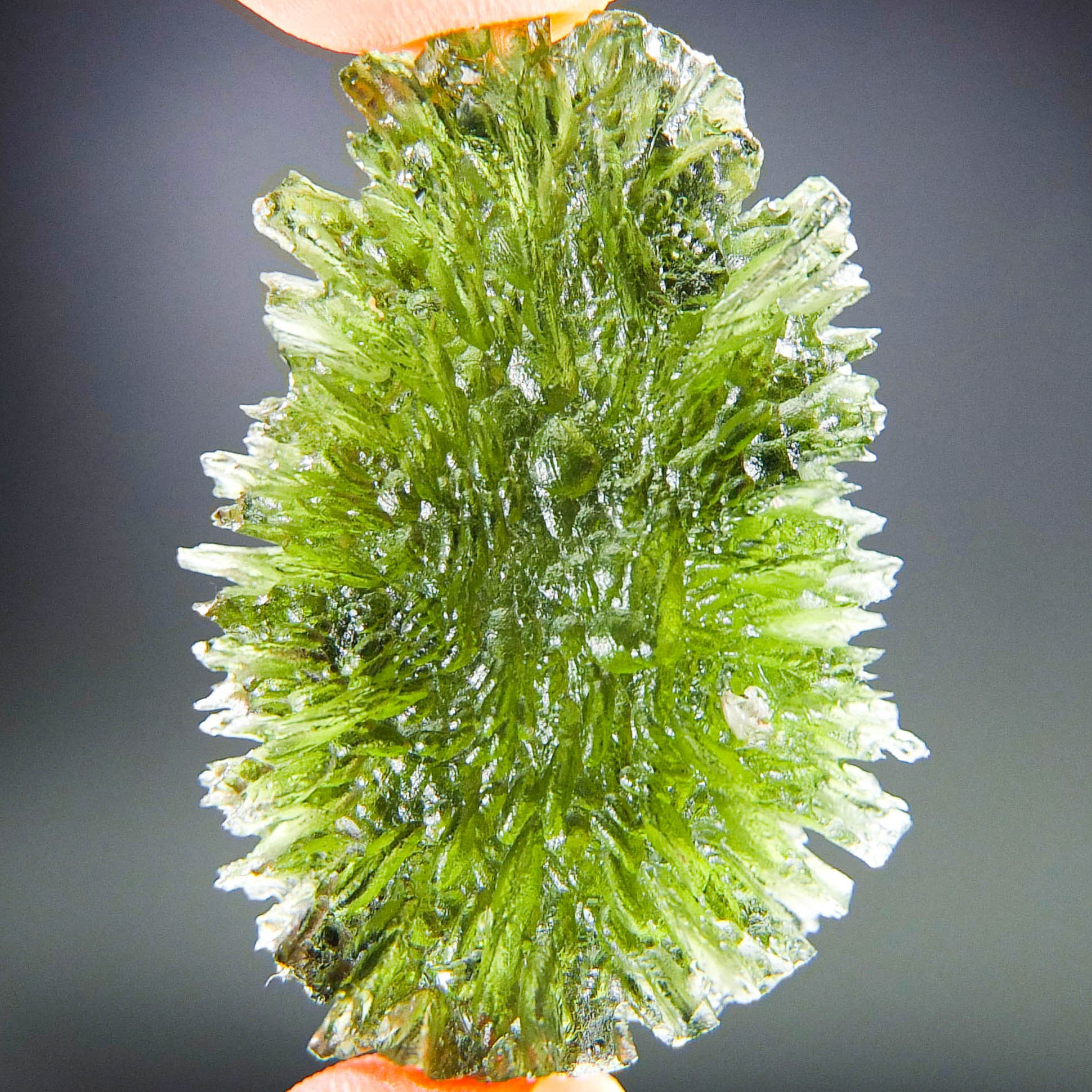 Investment Big Moldavite from Besednice - TOP