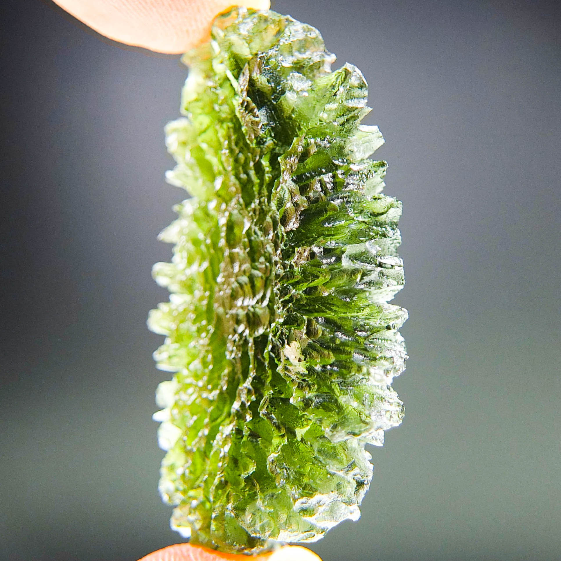 Investment Big Moldavite from Besednice - TOP