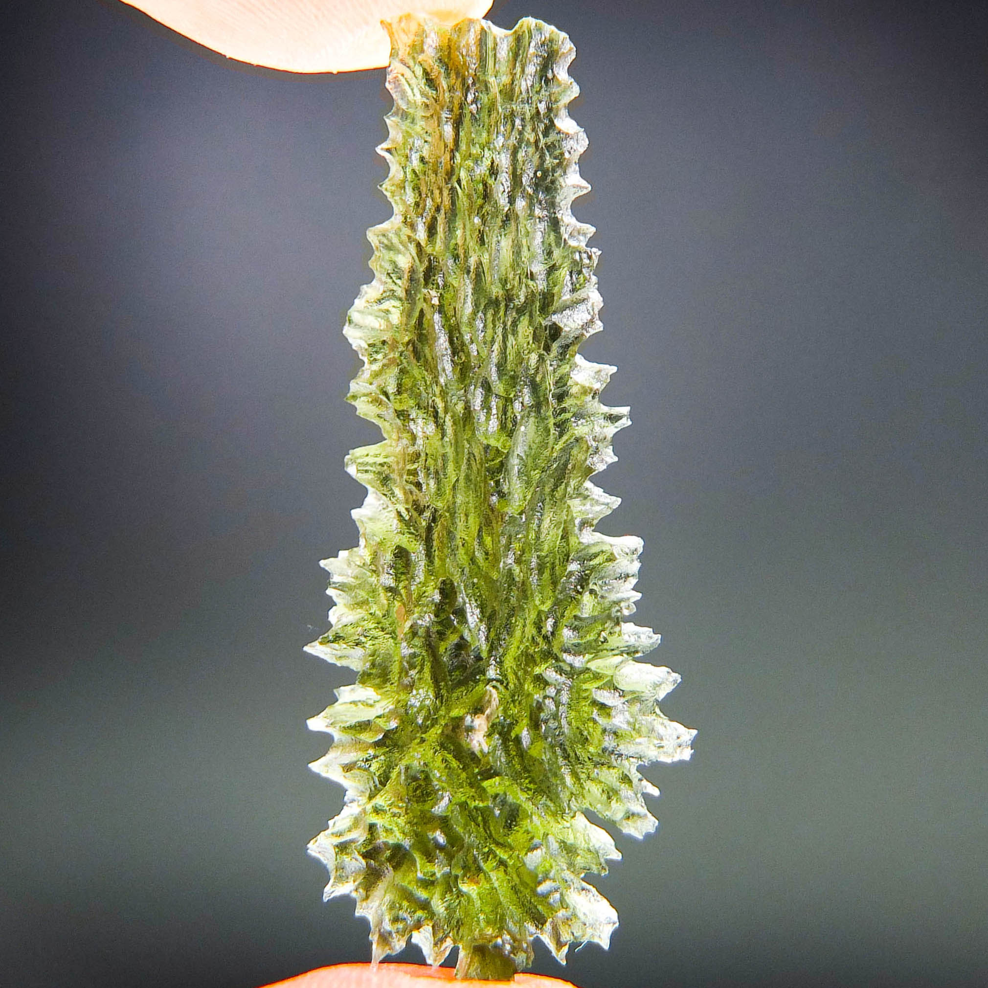 Investment Angel Chime MoldaviteMoldavite - Drop shape