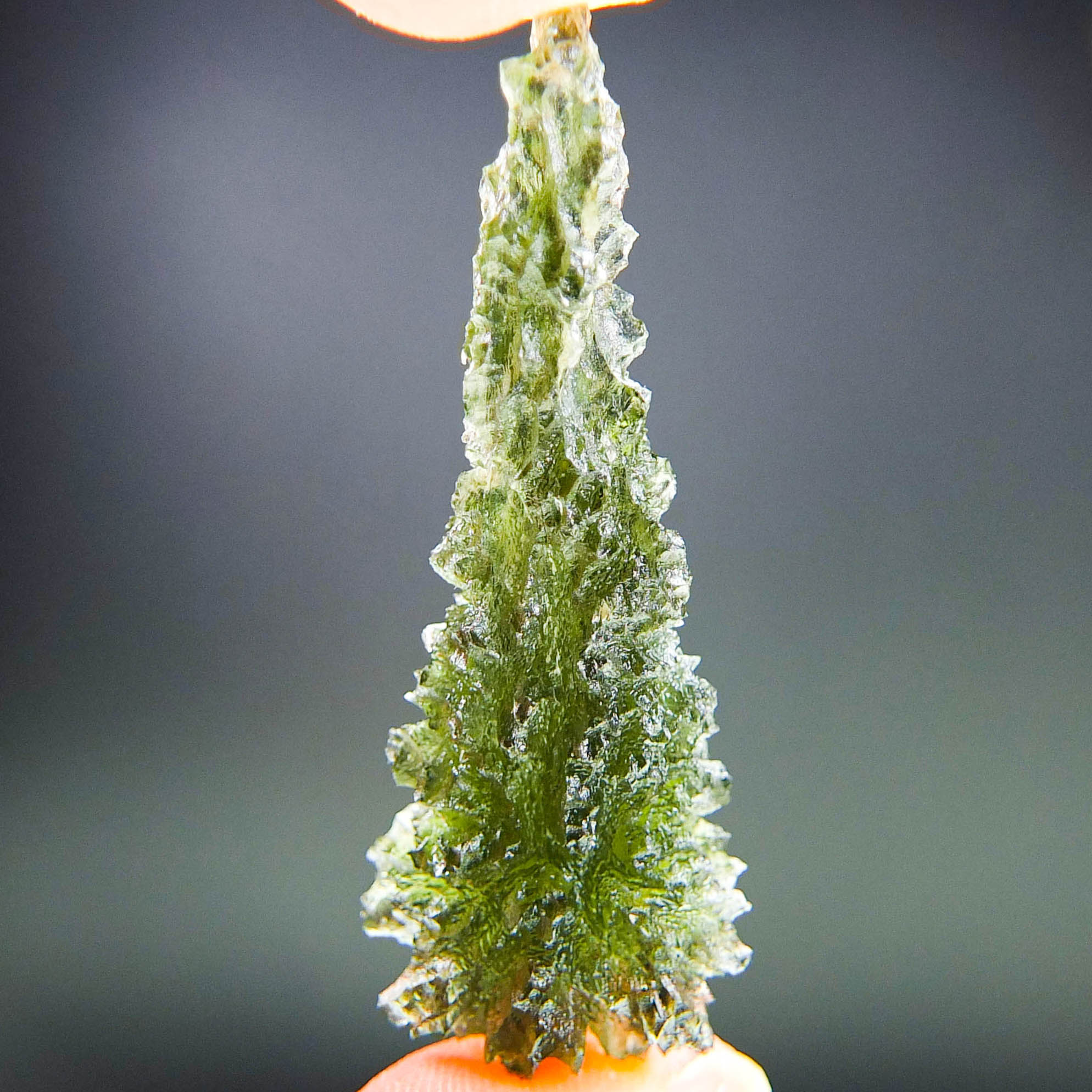 Investment Moldavite - Hedgehog from Besednice