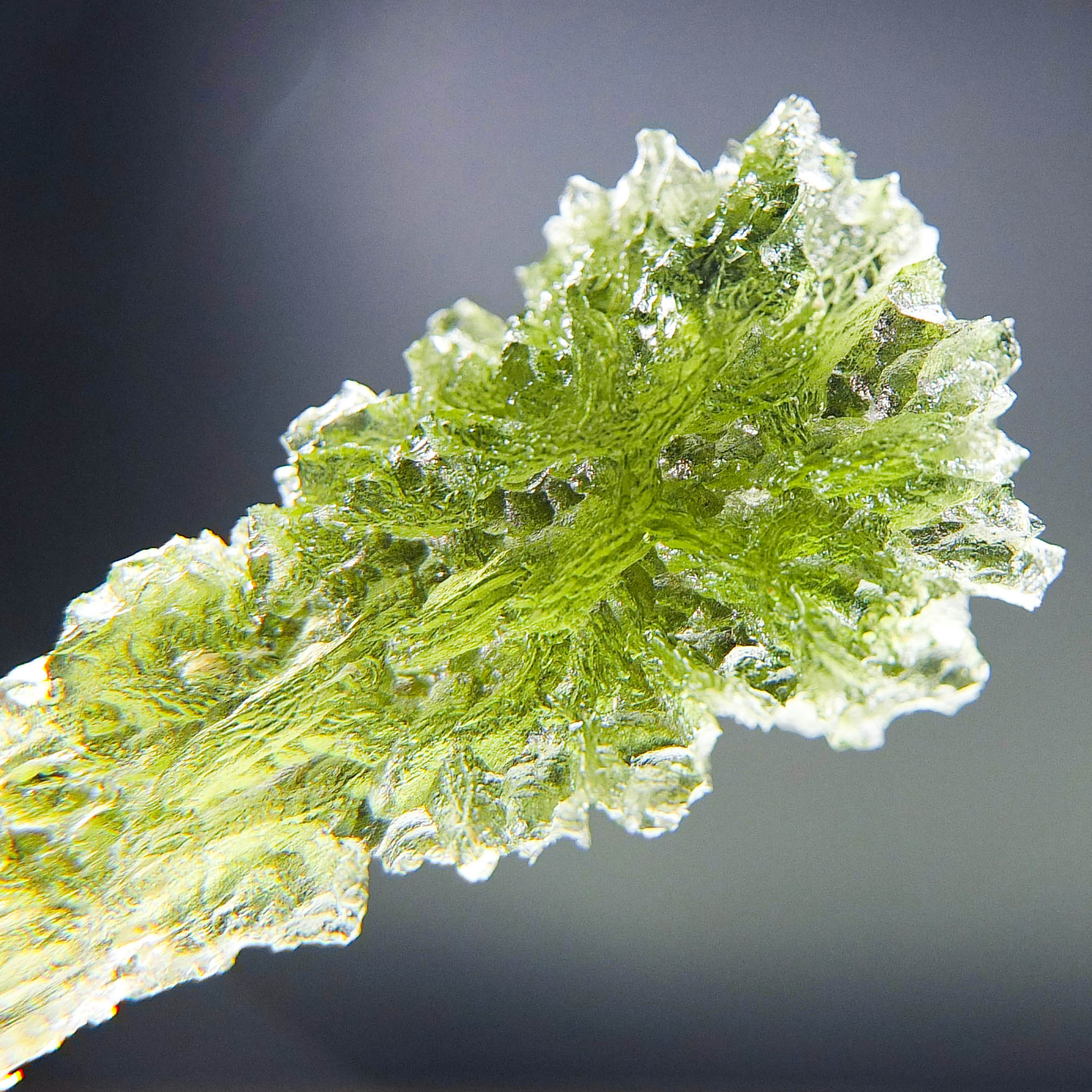 Investment Moldavite - Hedgehog from Besednice