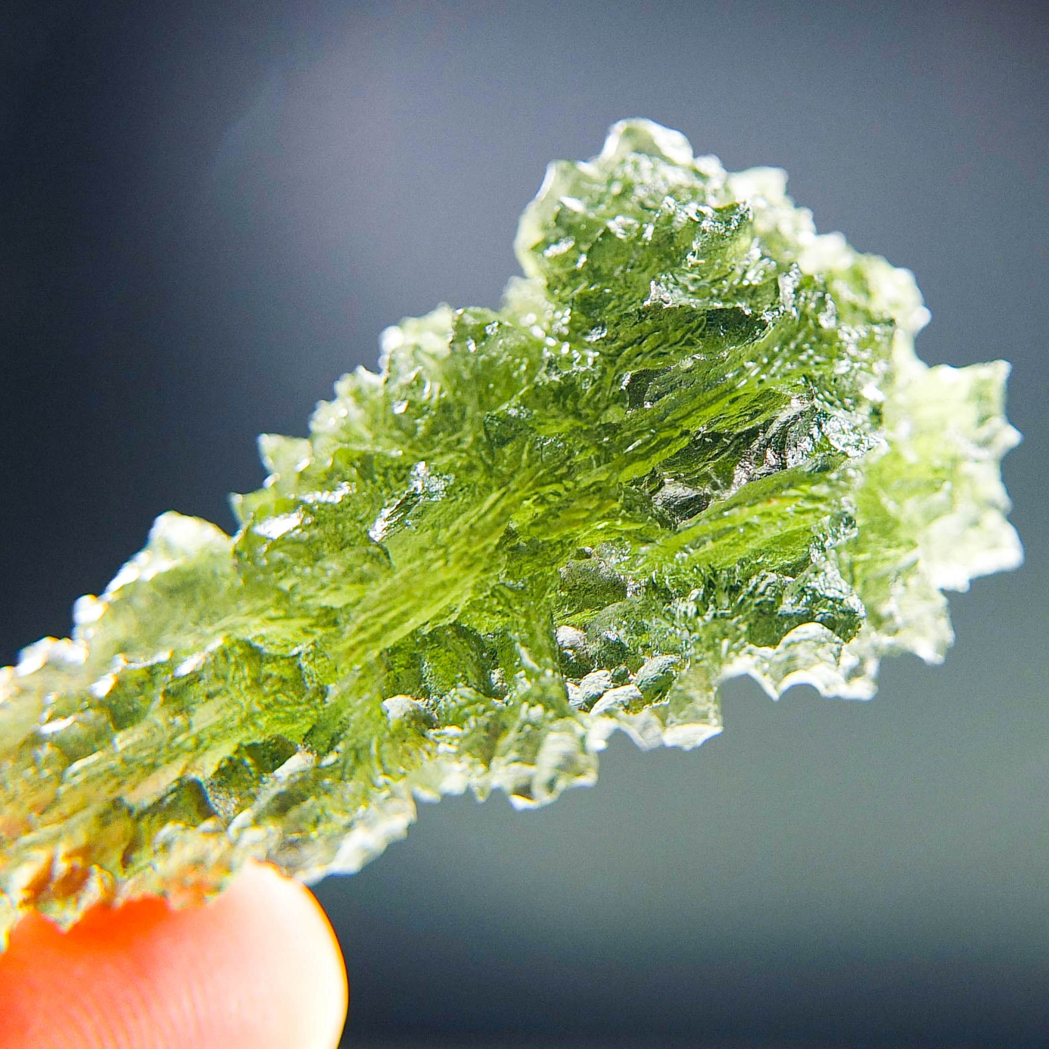 Investment Moldavite - Hedgehog from Besednice