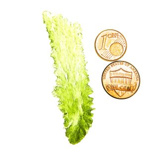 Long Angel Chime Moldavite from Besednice