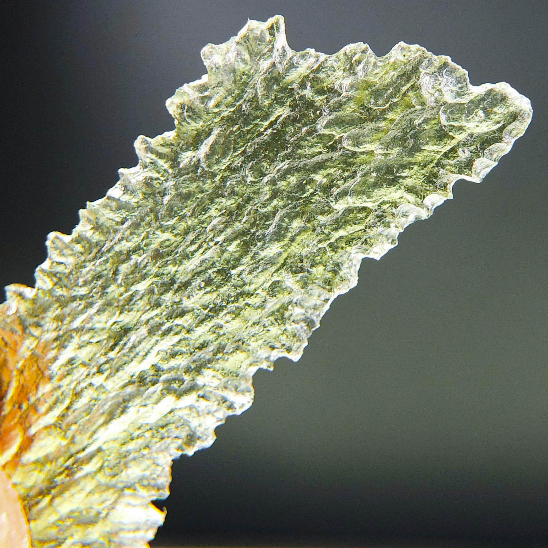 Long Angel Chime Moldavite from Besednice